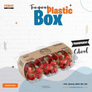 Transparent Plastic Fruit Box With Lid