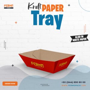 Kraft paper tray